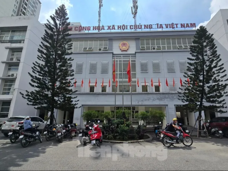 Tổng quan