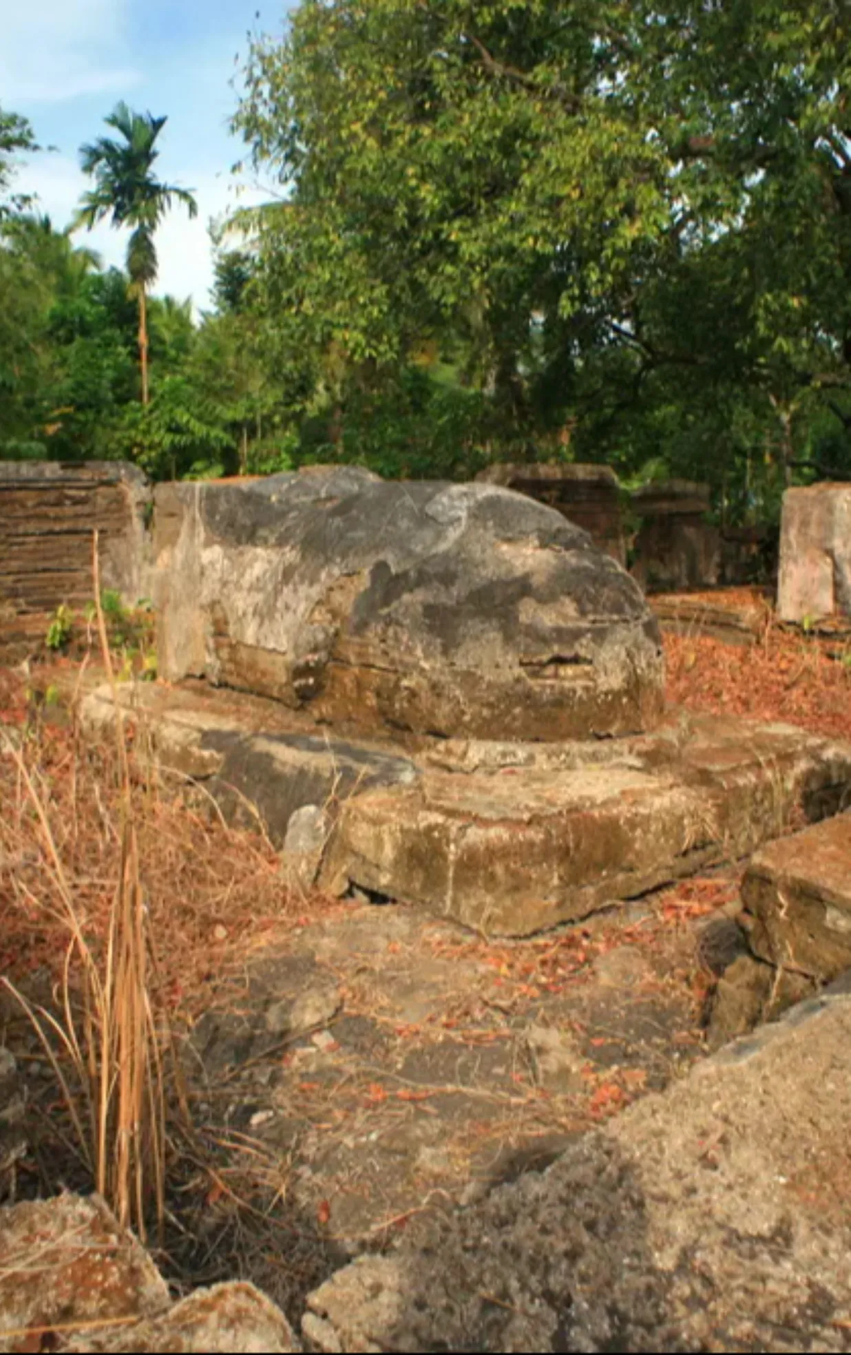 Mộ ông Tang