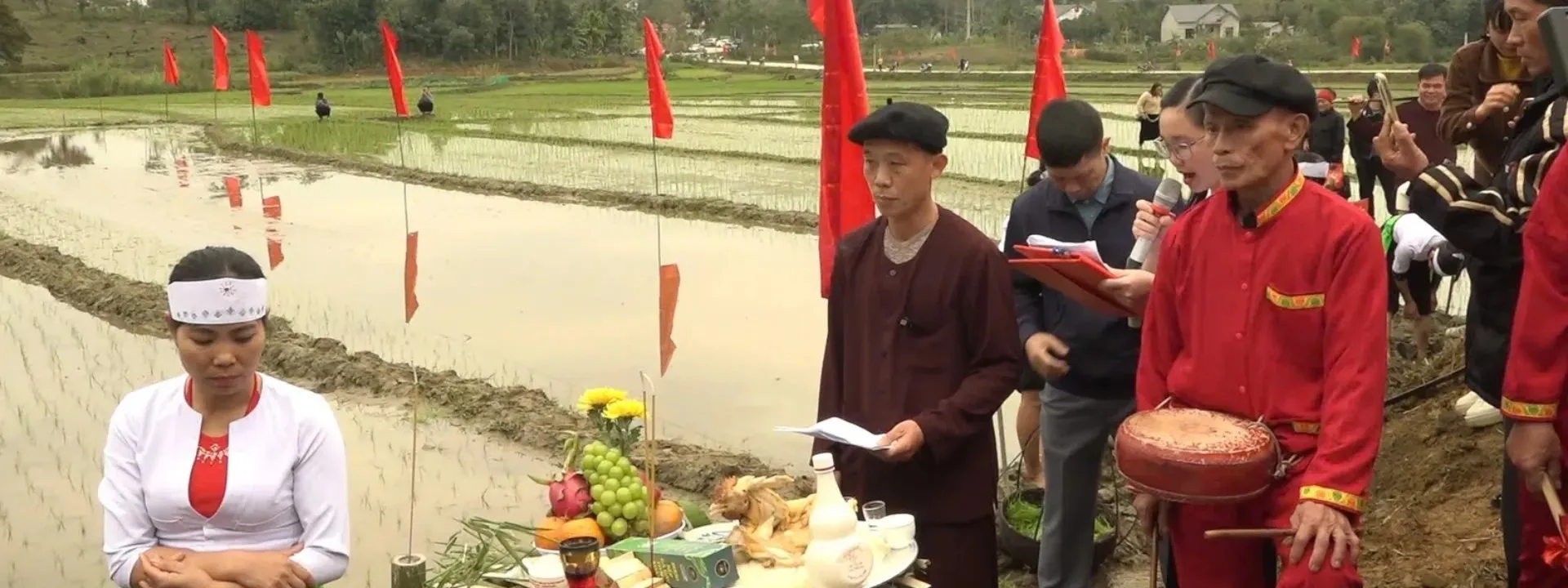 Lễ hội Hạ điền đình Đồng Sương