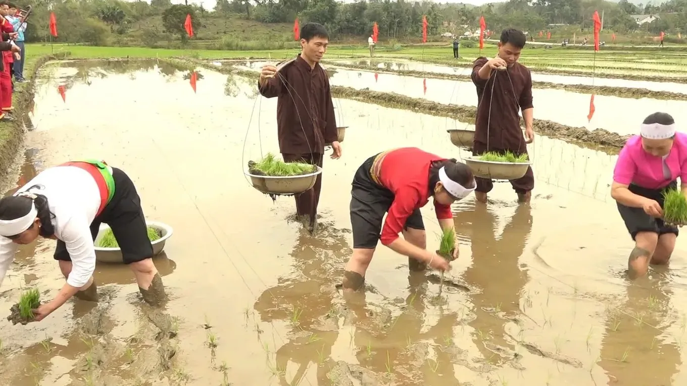 Lễ hội Hạ điền đình Đồng Sương