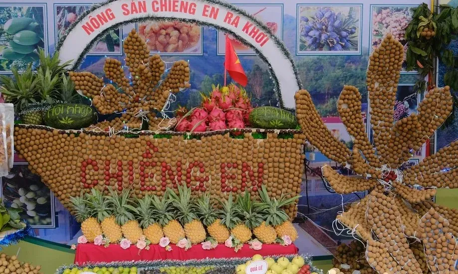 Lễ hội Ngày hội nhãn huyện Sông Mã