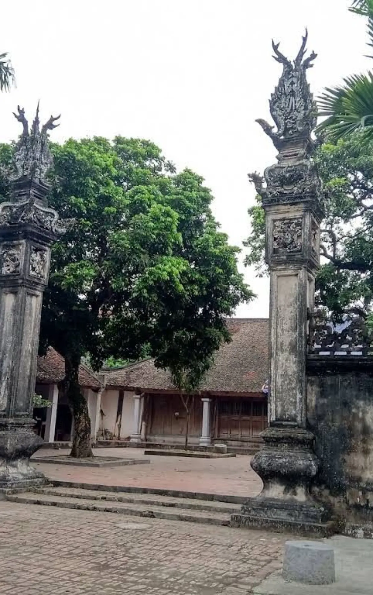 Đình Ngọc Phúc
