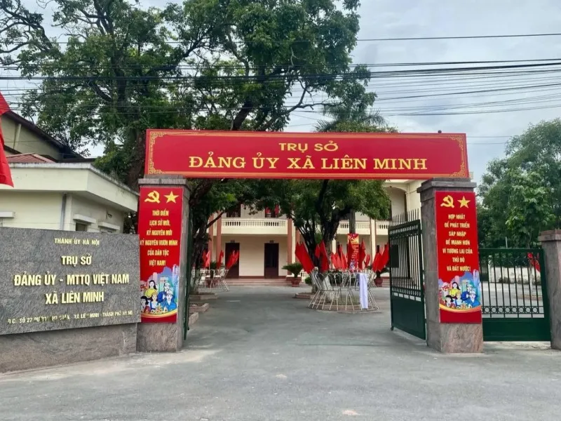 Tổng quan