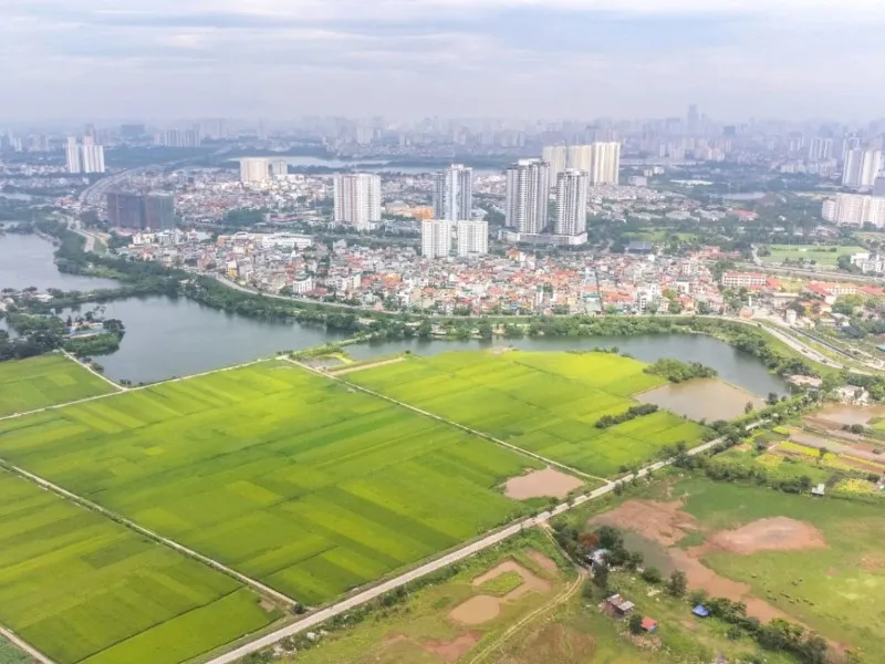 Tổng quan