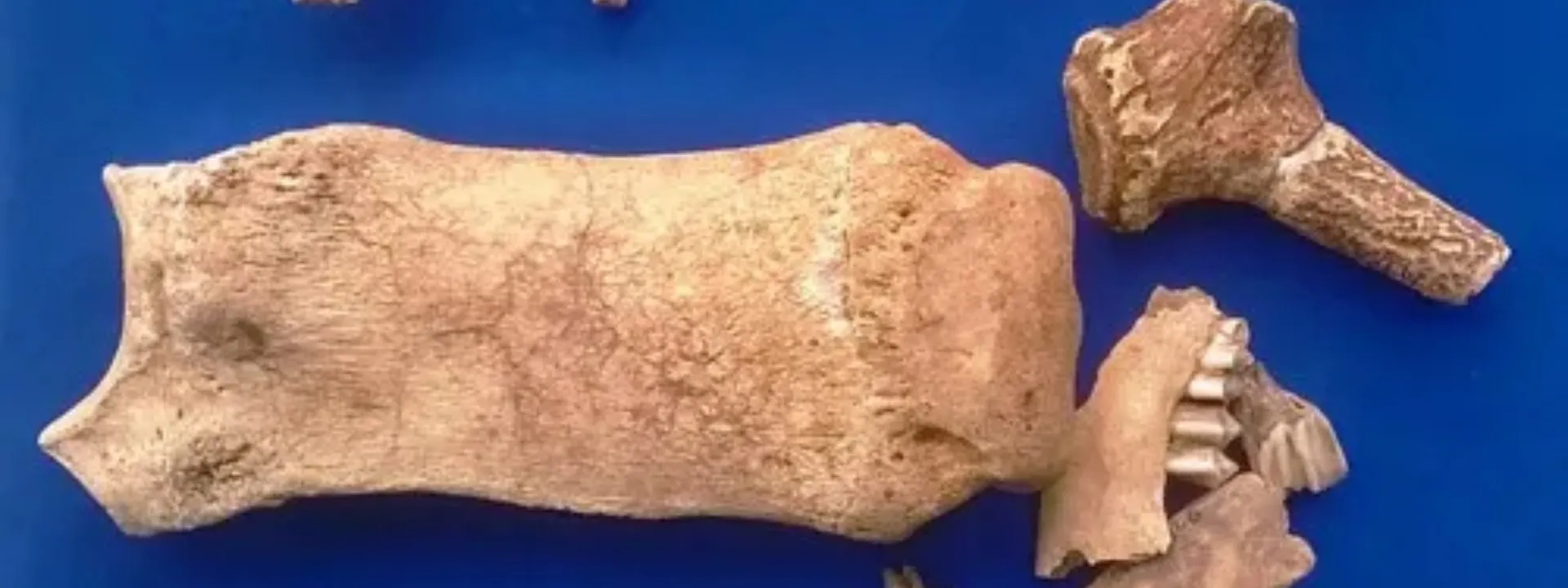 Di Chỉ Thạch Lạc