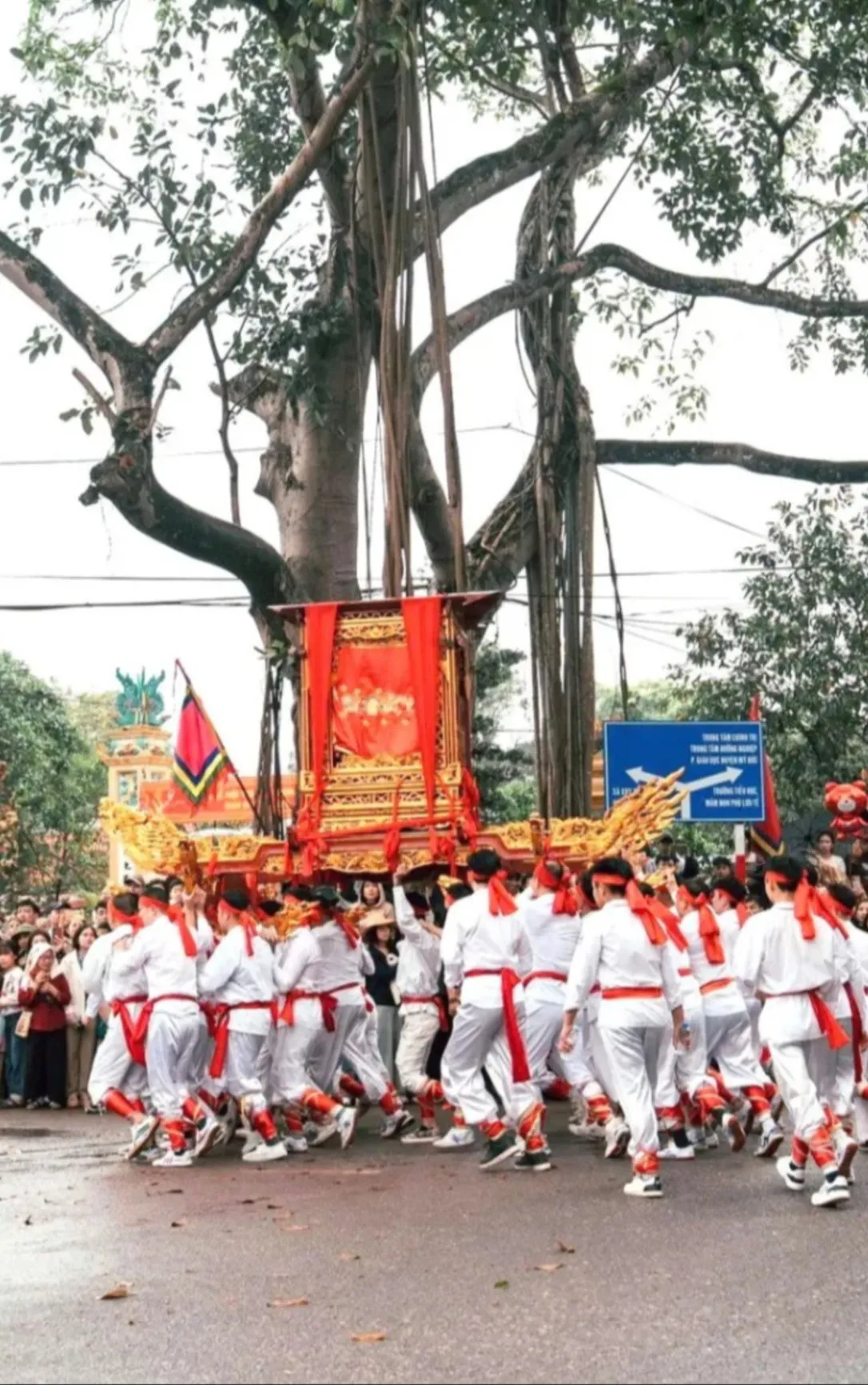 Hội đình Phù Lưu Tế