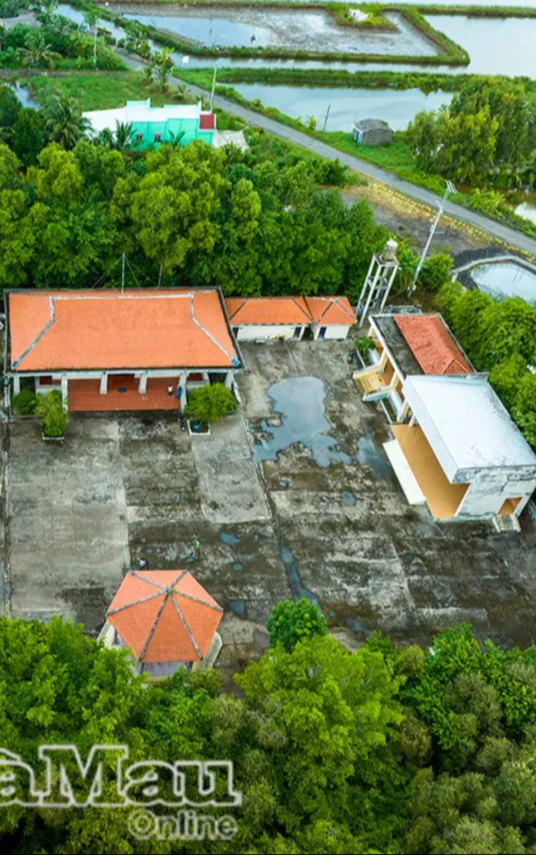 Căn Cứ Cái Chanh