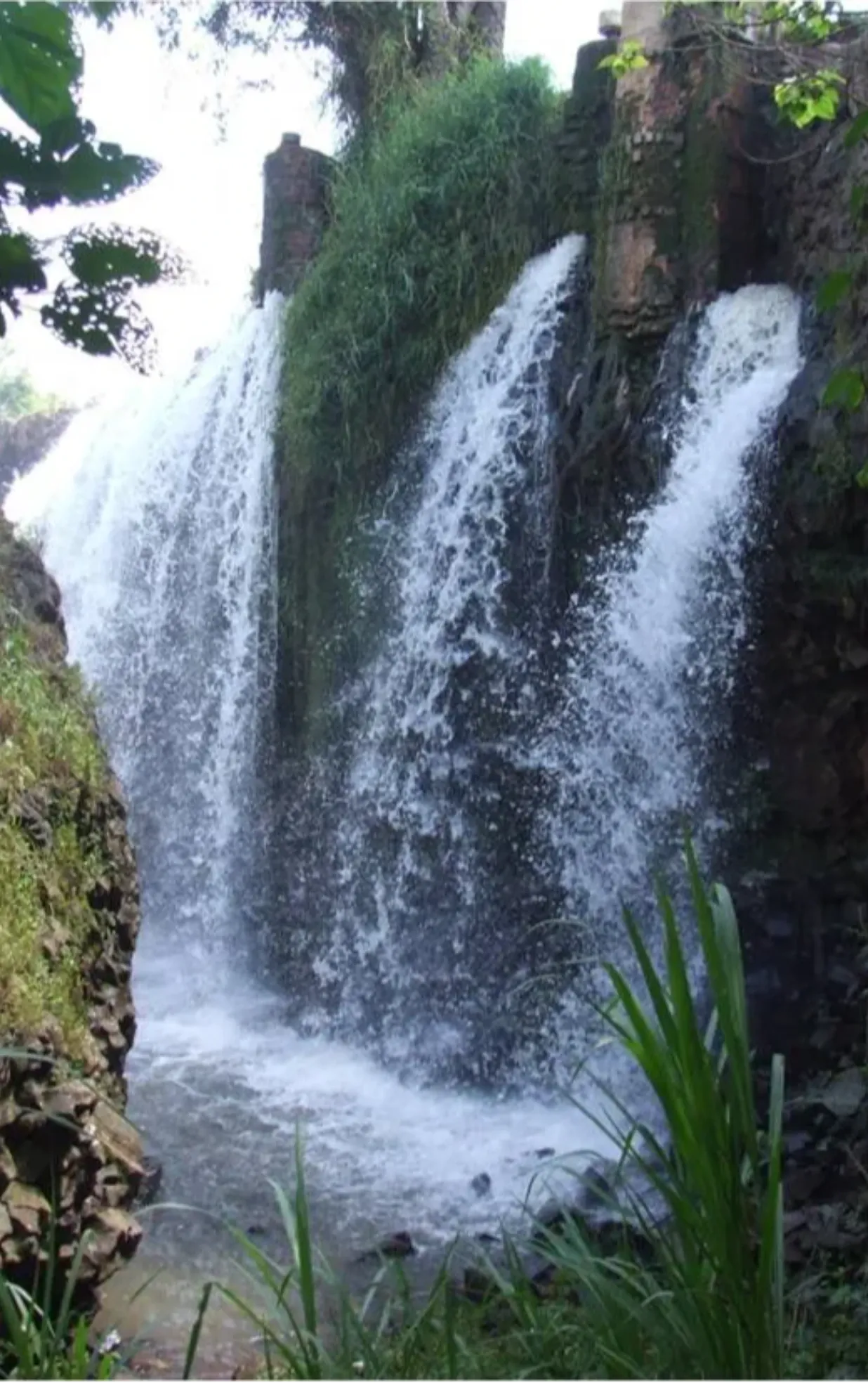 Thác Drai Yông