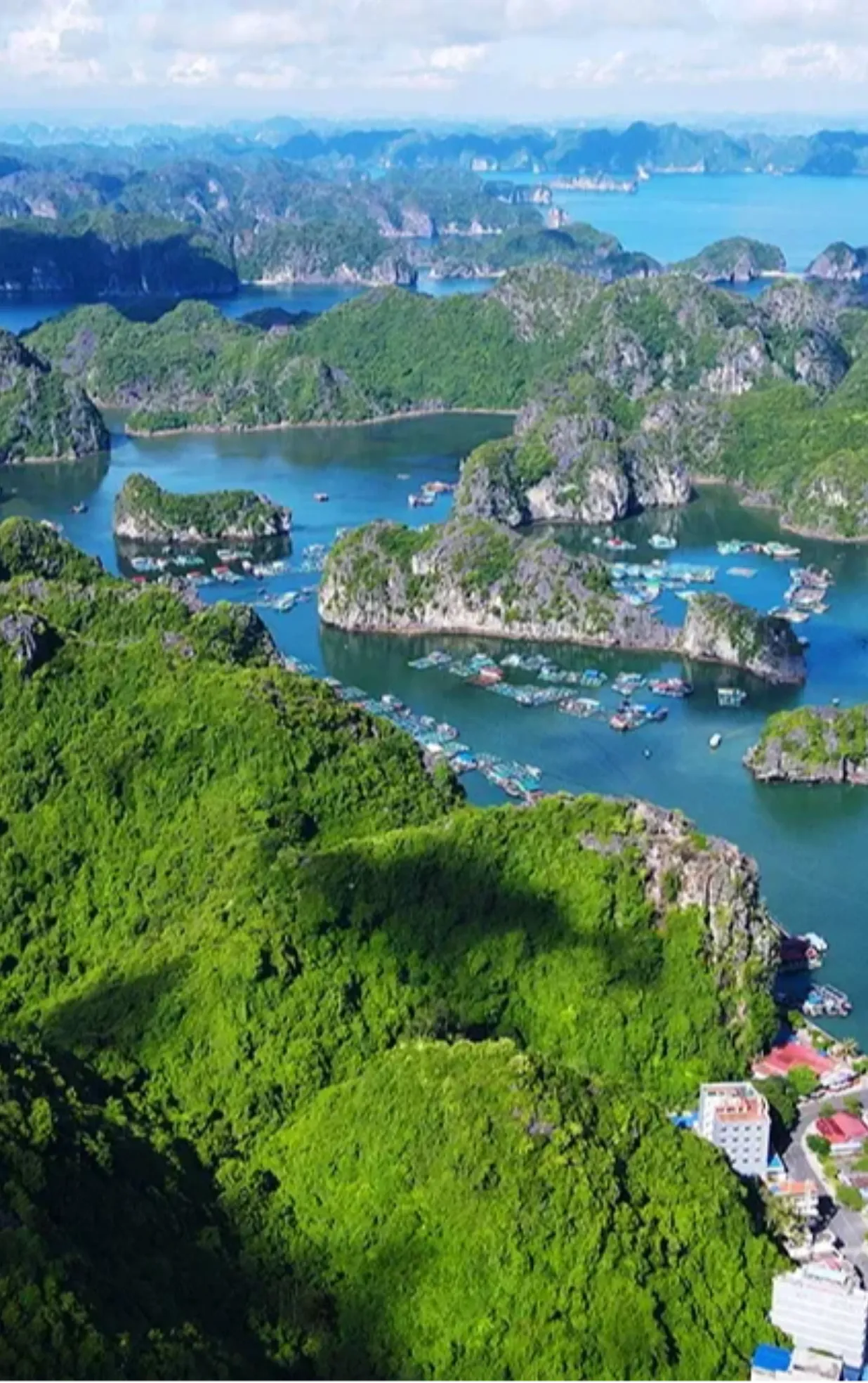 Quần đảo Cát Bà