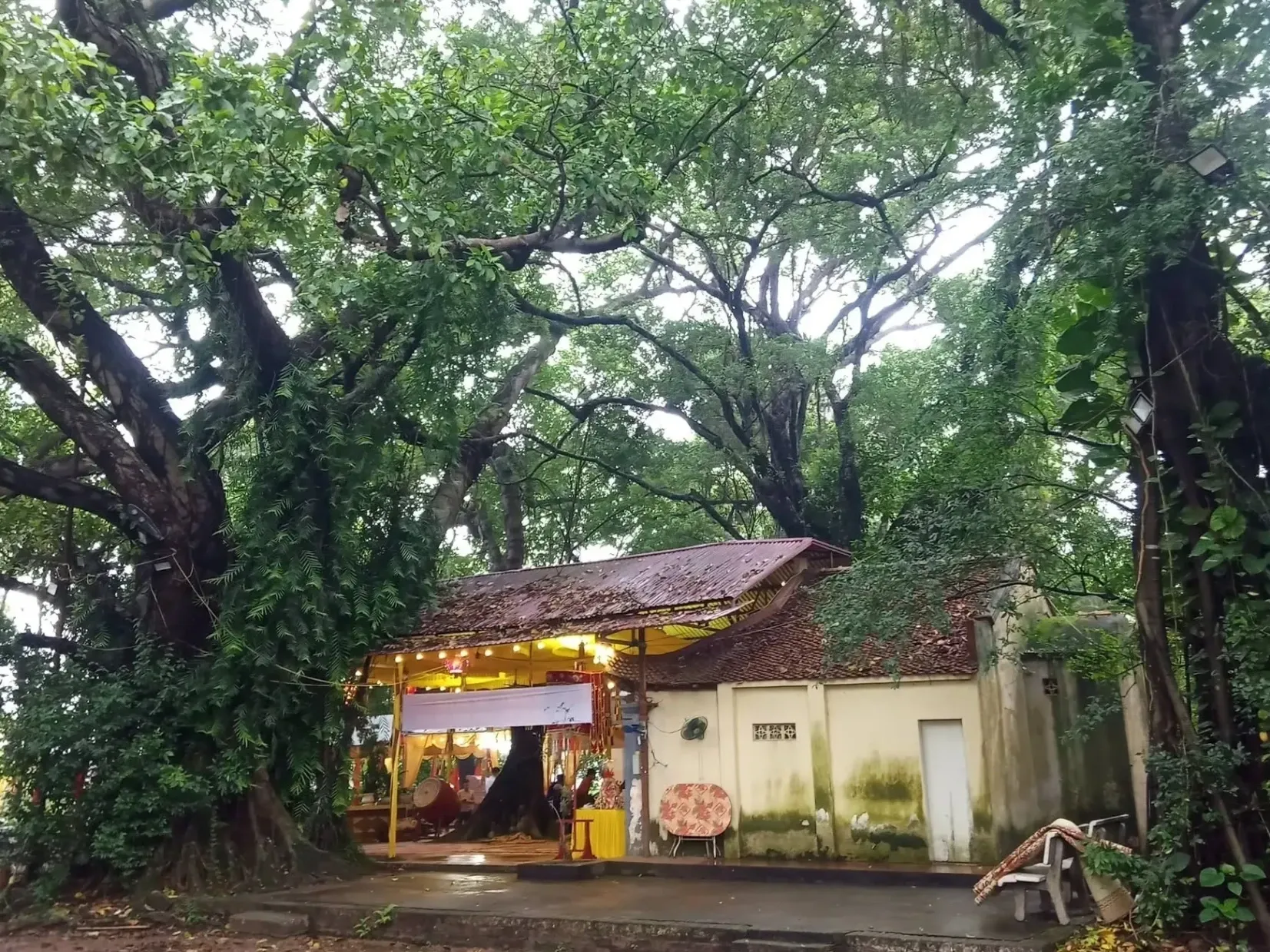 Giới thiệu
