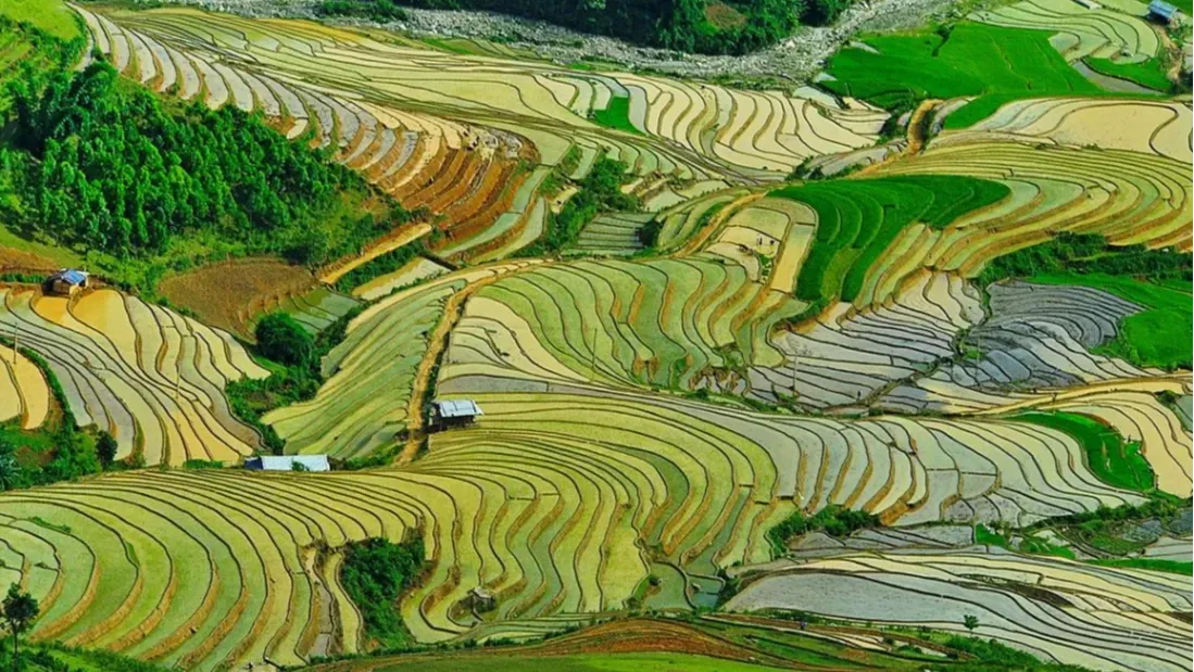 Tổng quan Ruộng Bậc Thang Mù Cang Chải