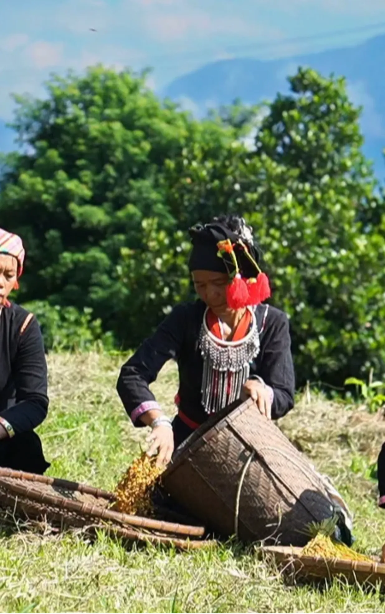 Lễ hội ăn lúa mới dân tộc Khơ Mú