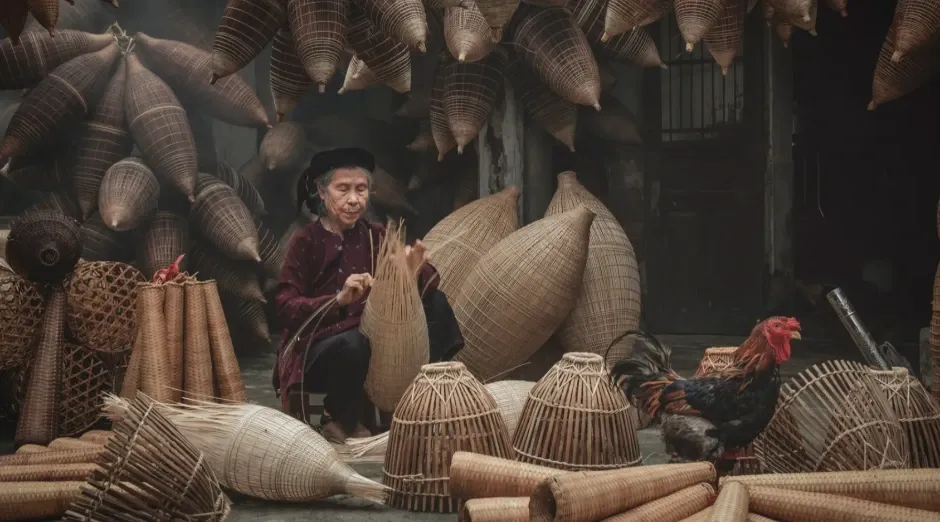 Chọn và xử lý nguyên liệu