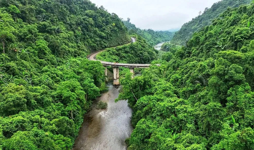 Tổng quan Đường Trường Sơn - Đường Hồ Chí Minh