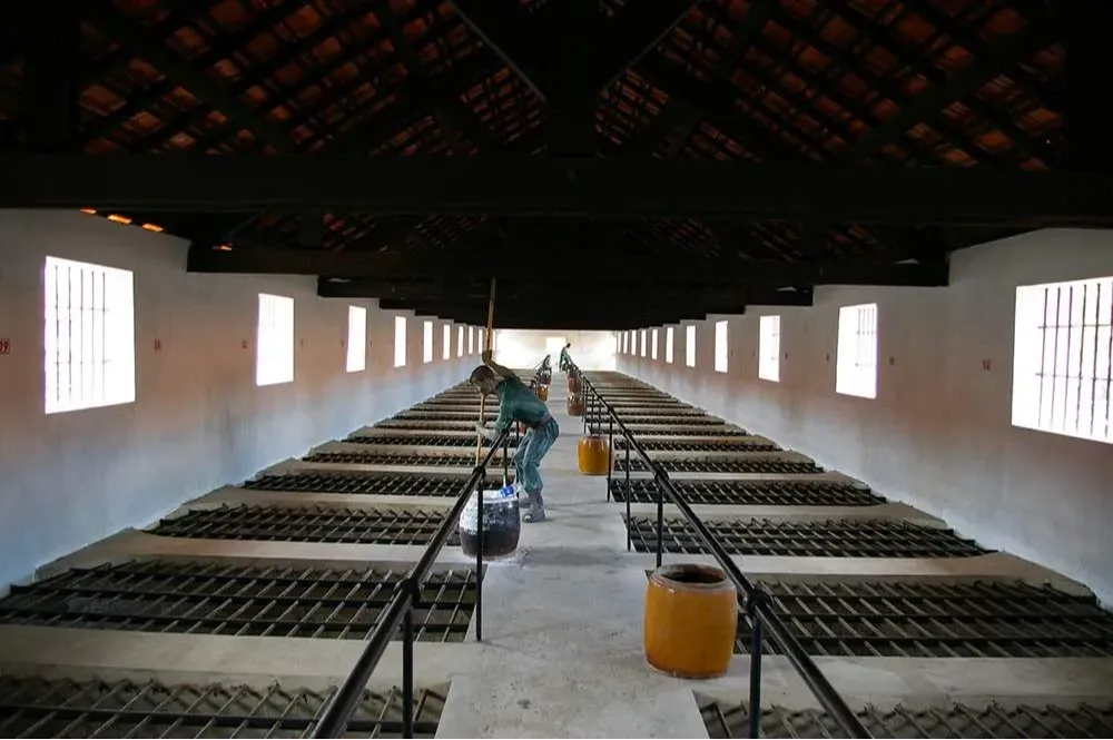 Nhà Tù Côn Đảo