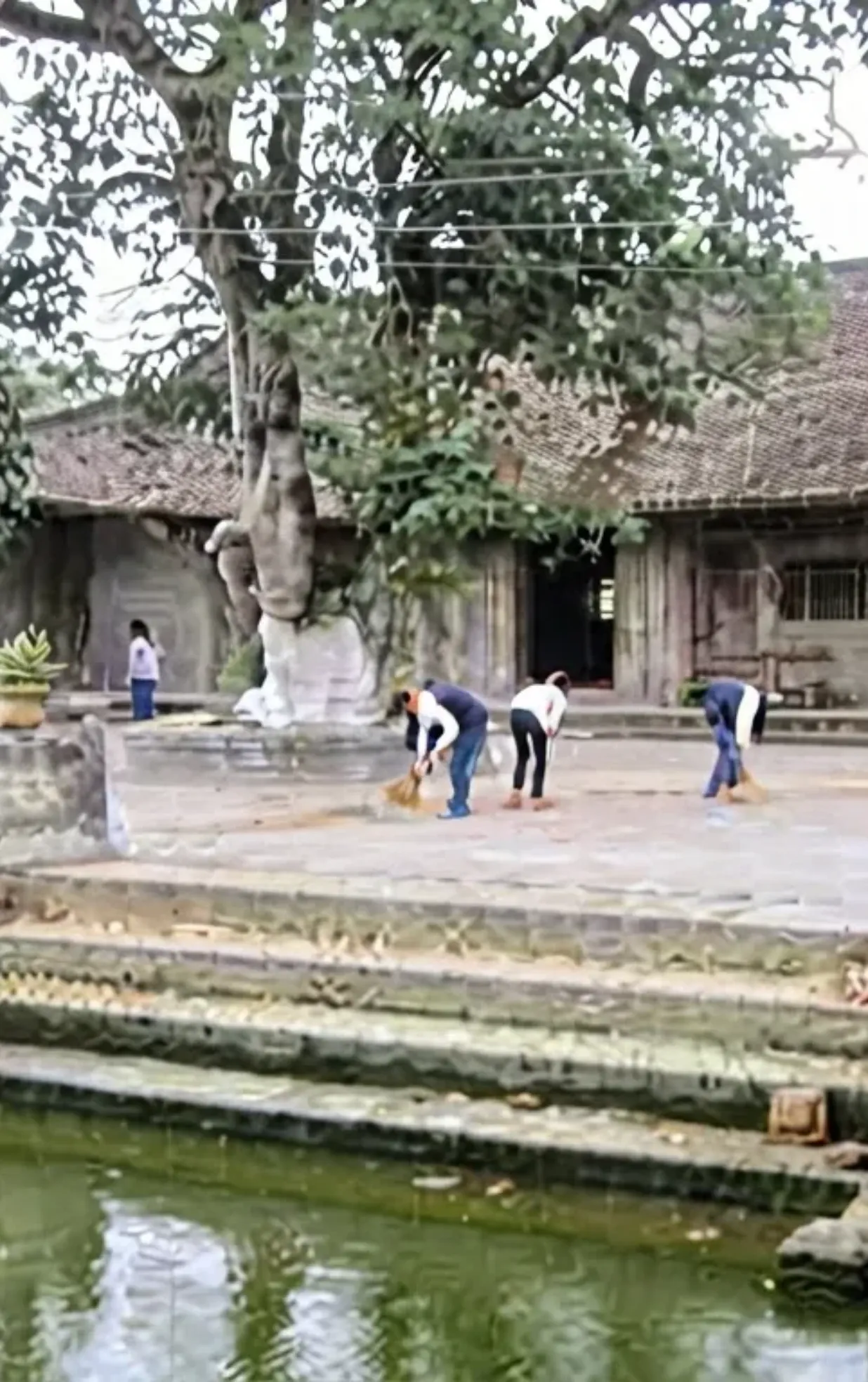 Đình Đầu