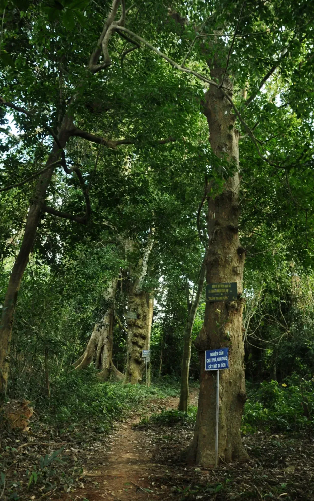 Di Tích Vườn Mít