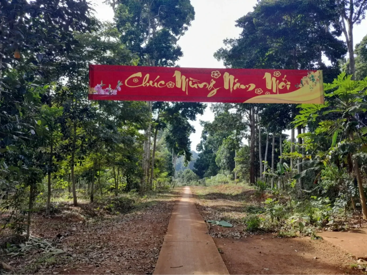 Di Tích Vườn Mít