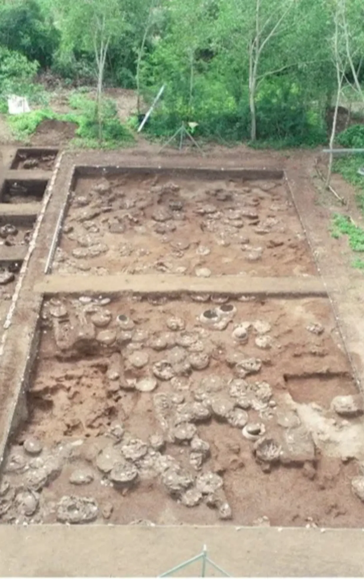 Giồng Cá Vồ