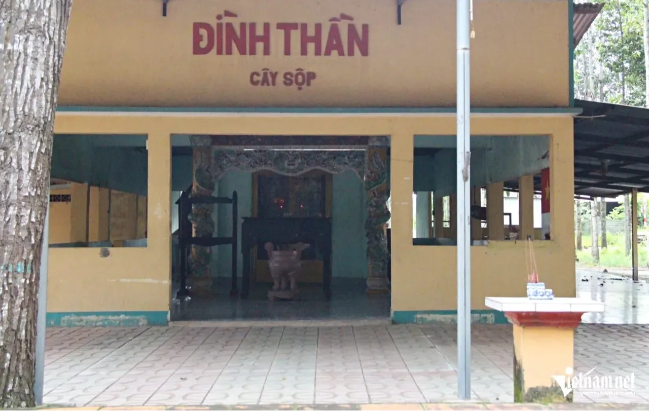 Tổng quan Đình Cây Sộp