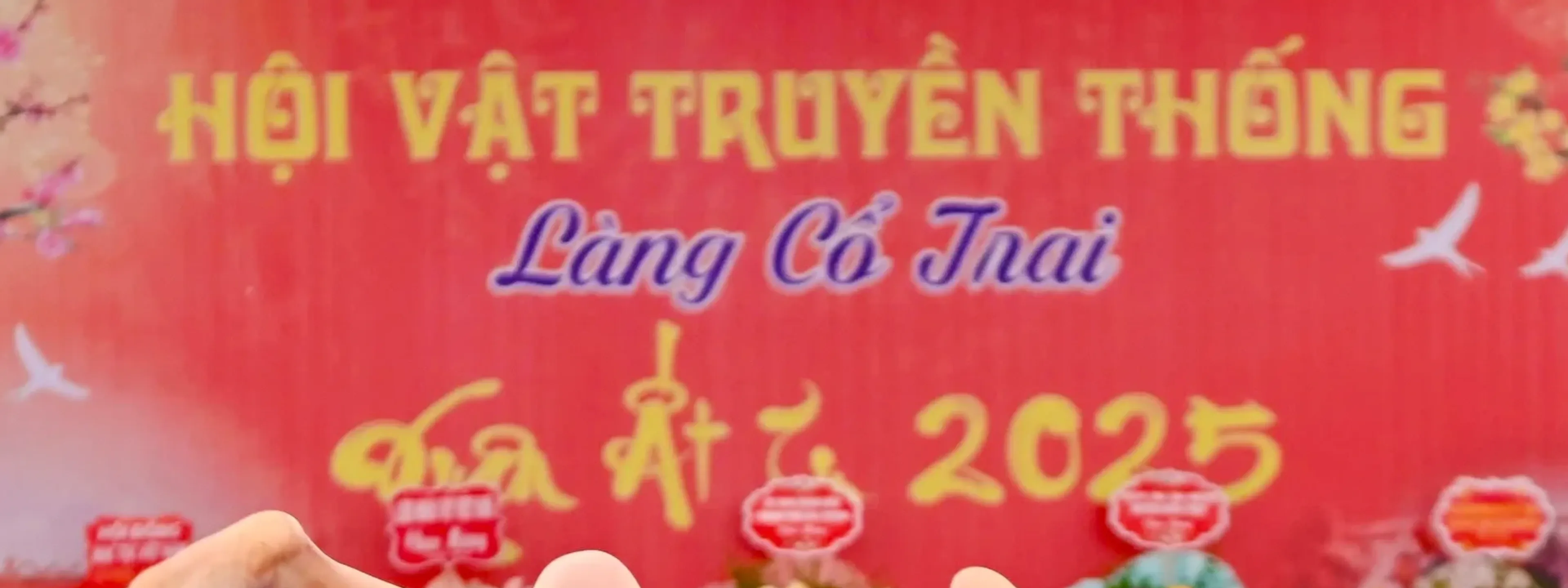Hội vật truyền thống làng Cổ Trai 