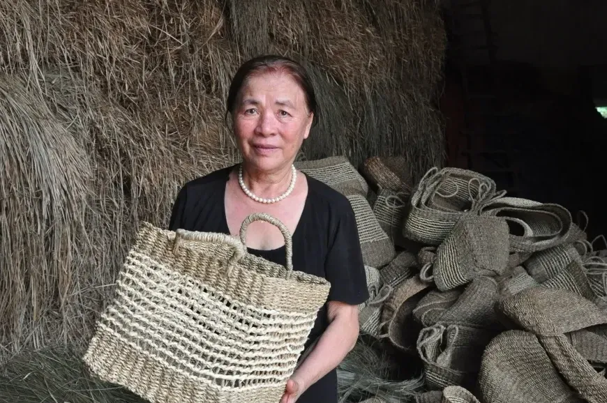 Trần Thị Việt