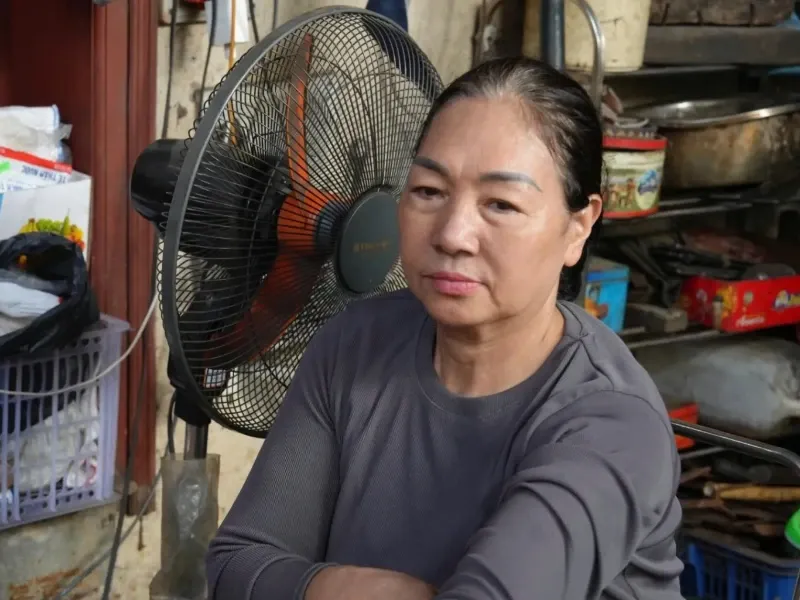 Giới thiệu