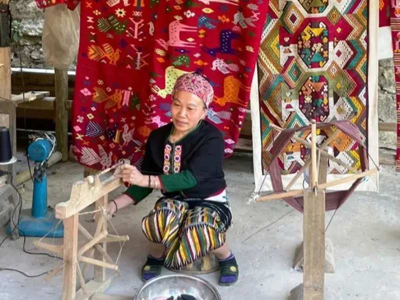 Giới thiệu