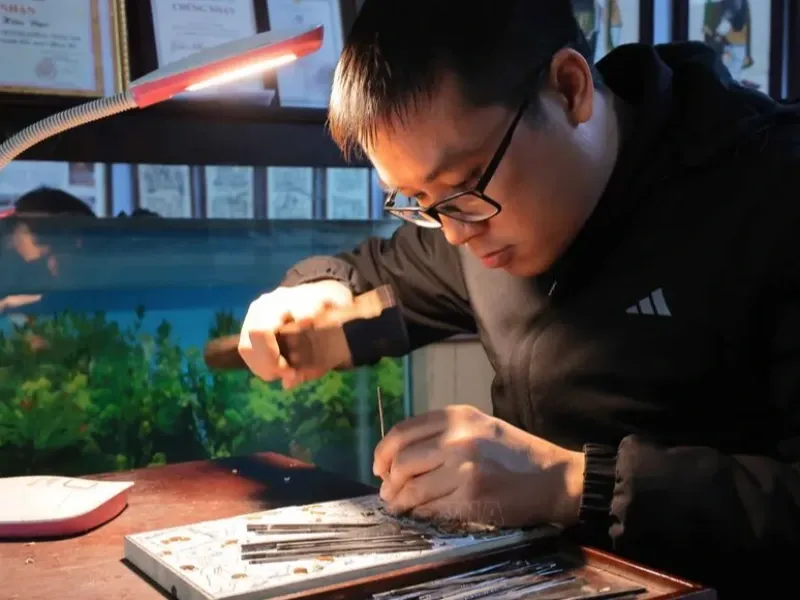 Giới thiệu