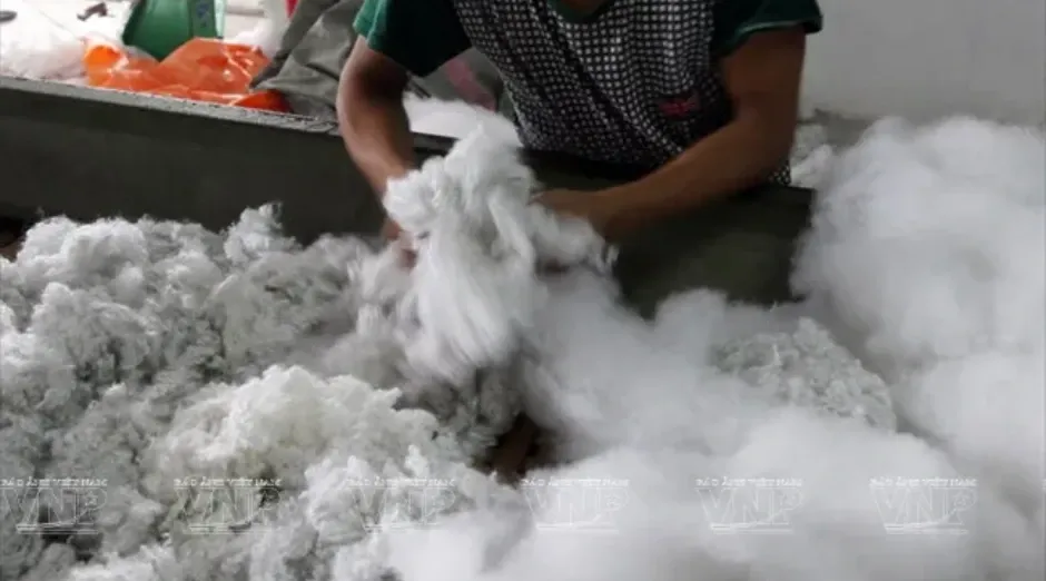 Chuẩn bị nguyên liệu