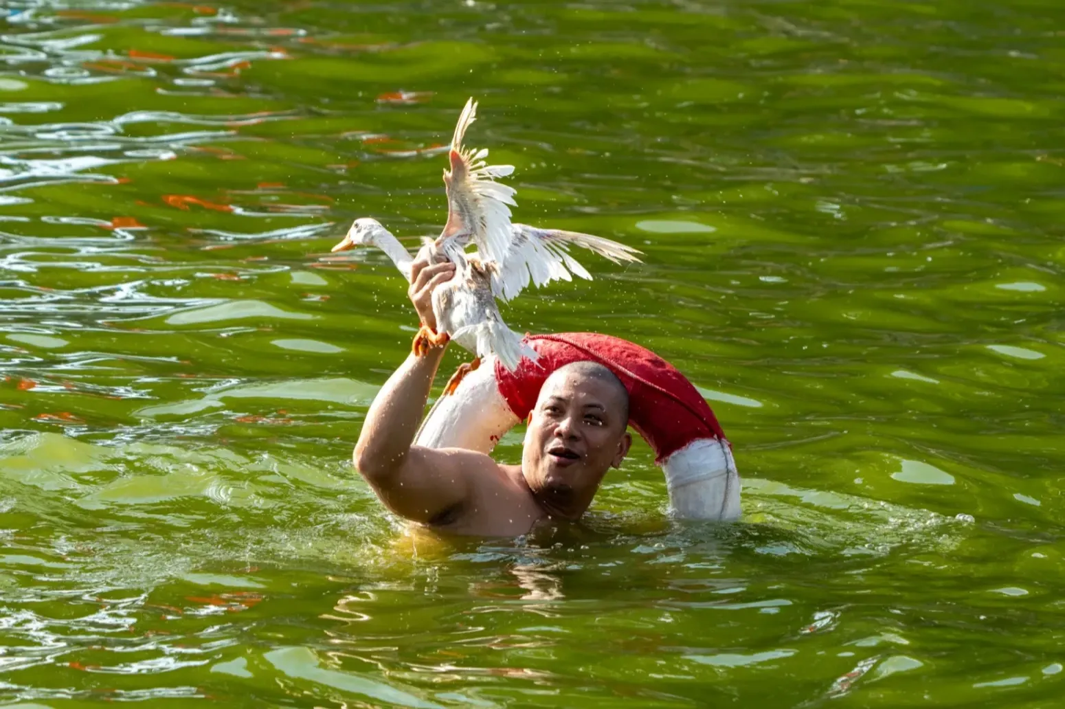 Lễ hội bắt vịt làng Thúy Lĩnh