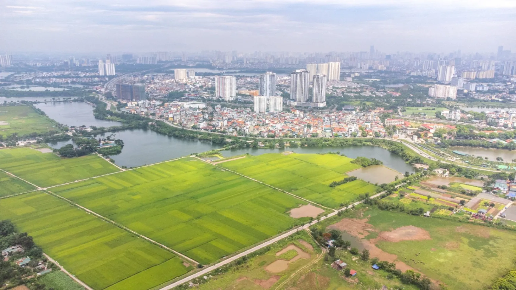 Phường Lĩnh Nam: bến bãi phía Nam Thăng Long và tiếng vật cầu bên sông Hồng